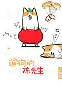 遛狗的陈先生完整免费阅读