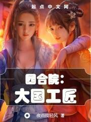四合院大国工匠(1-437)